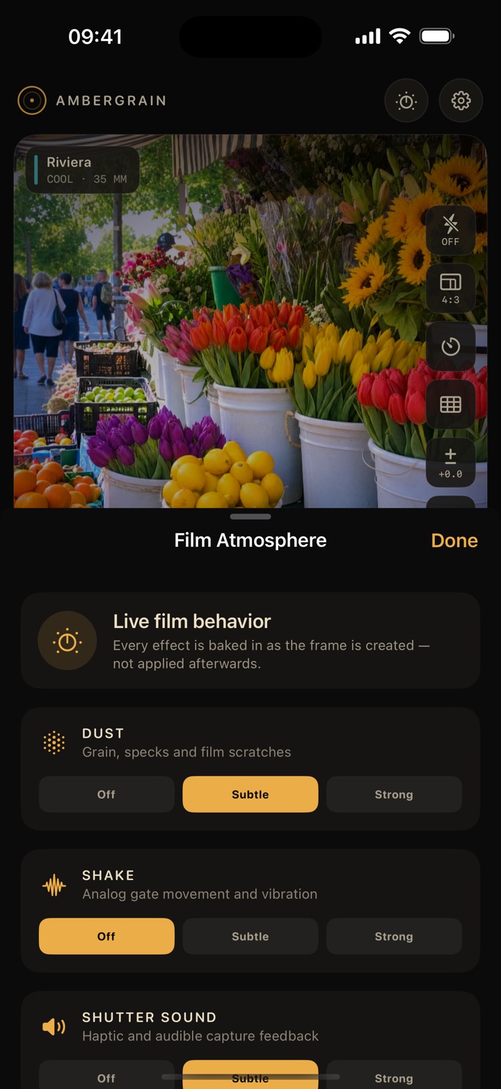 Ambergrain — Live Film Camera — 6